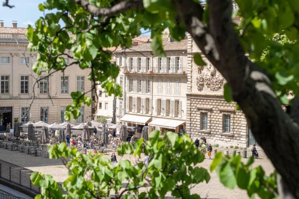 Bien D'Exception En Face Du Palais Des Papes Apartment อาวีญง ภายนอก รูปภาพ