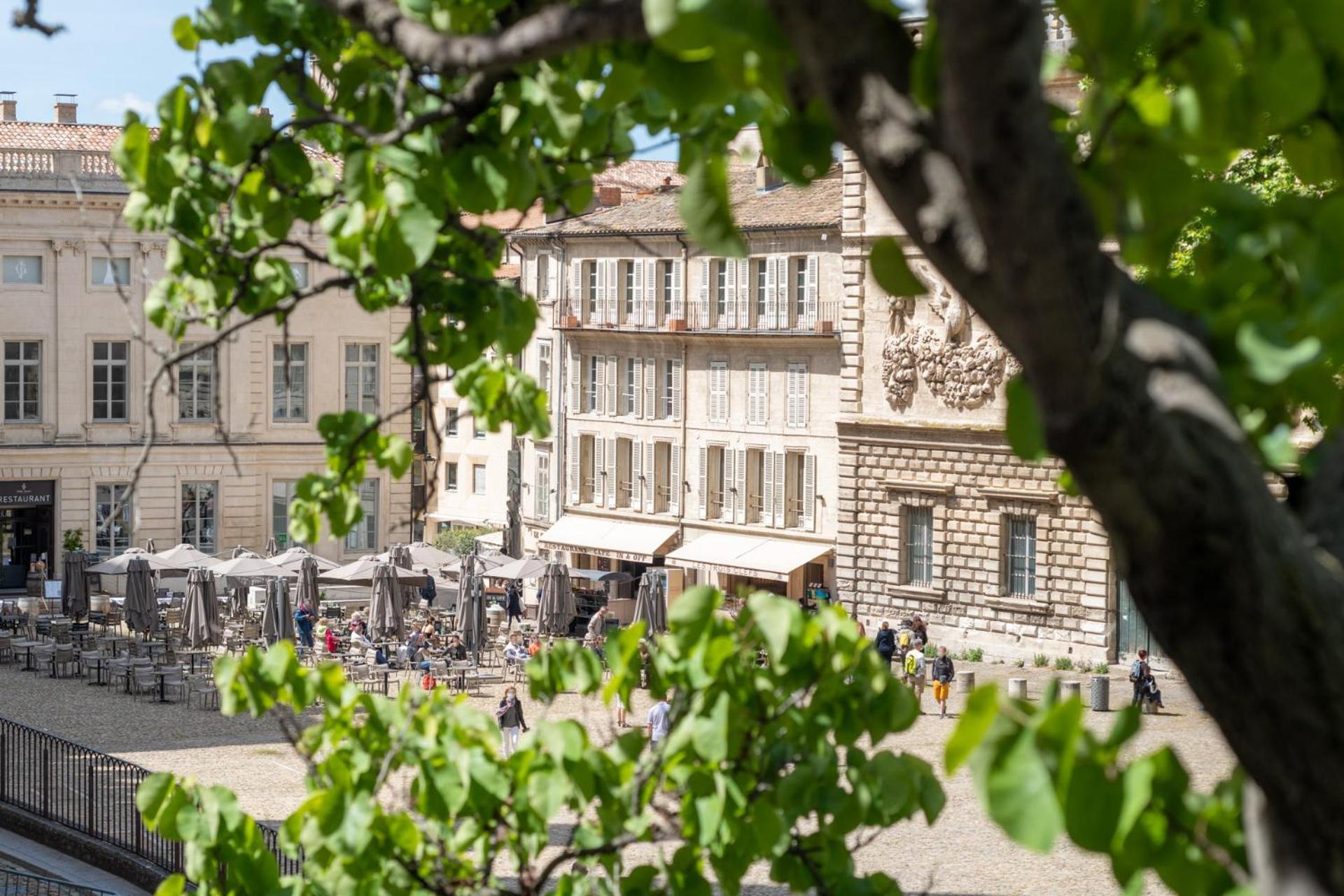 Bien D'Exception En Face Du Palais Des Papes Apartment อาวีญง ภายนอก รูปภาพ